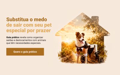 Guia prático mostra como organizar a rotina fora de casa com pets especiais