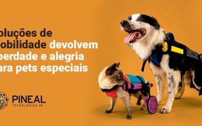 Especialistas mostram como escolher soluções de mobilidade para pets especiais